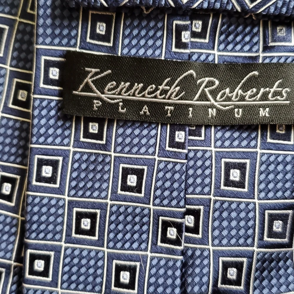 Kenneth Robert's platinum silk necktie - Picture 3 of 6